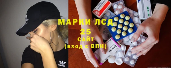 PSILOCYBIN Горнозаводск