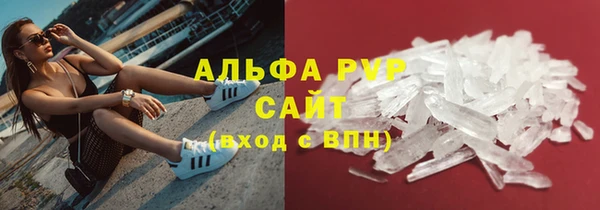 PSILOCYBIN Горнозаводск