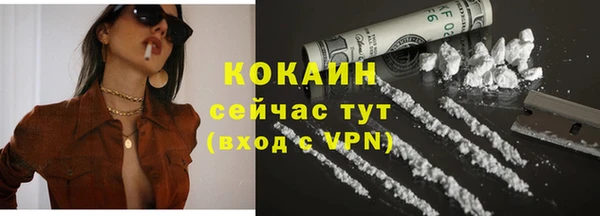 PSILOCYBIN Горнозаводск