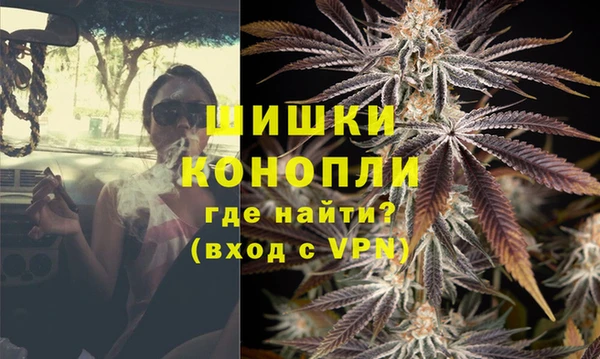 PSILOCYBIN Горнозаводск